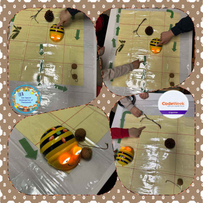 Το Beebot ανακαλύπτει τους θησαυρούς του δάσους